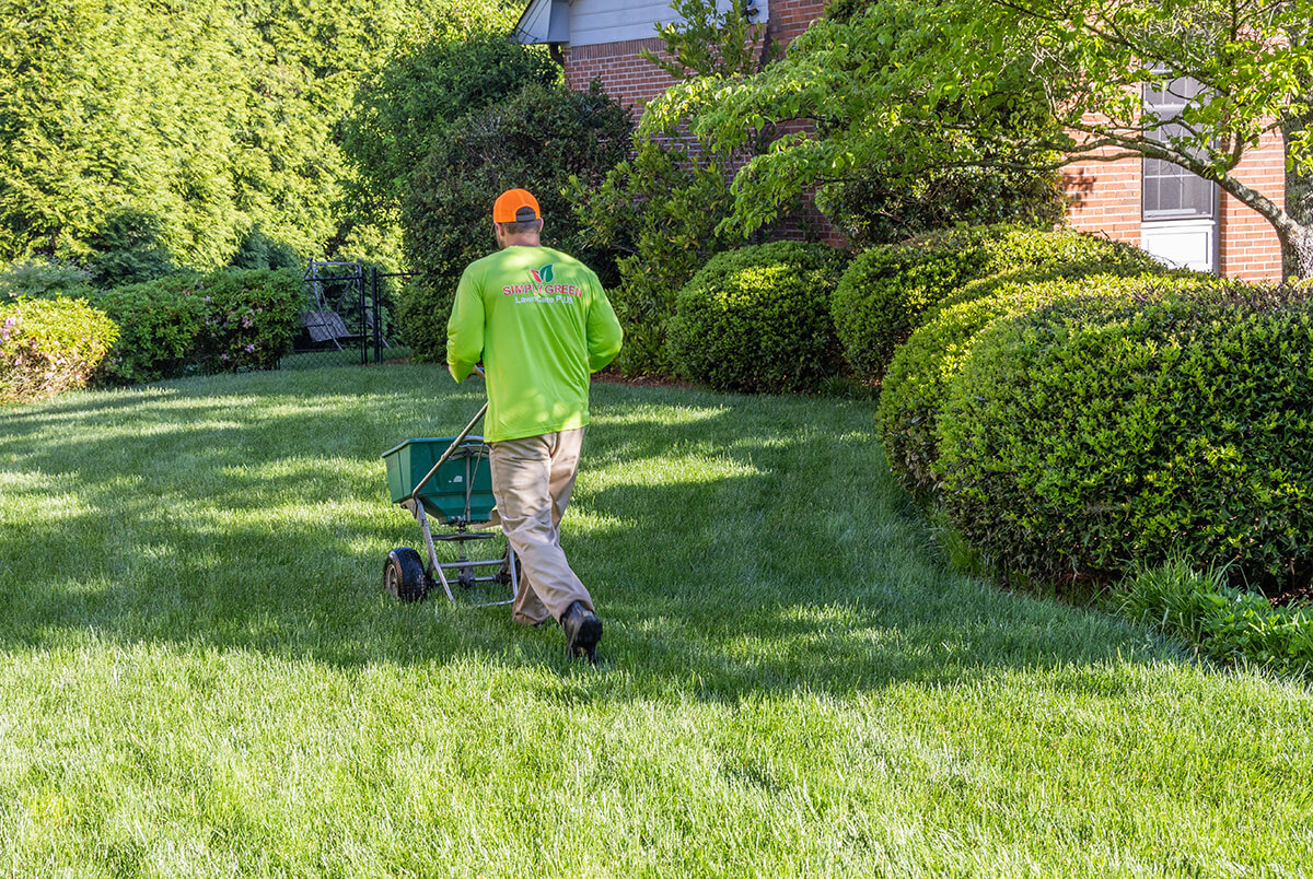 best lawn fertilizing company